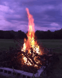 Fire Flame GIF - Fire Flame Bonfire GIFs