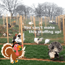 Thanksgiving Memes GIF - Thanksgiving Memes Turkey GIFs