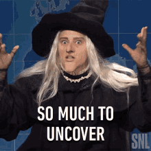 So Much To Uncover Stephanie Green GIF - So Much To Uncover Stephanie Green Saturday Night Live GIFs