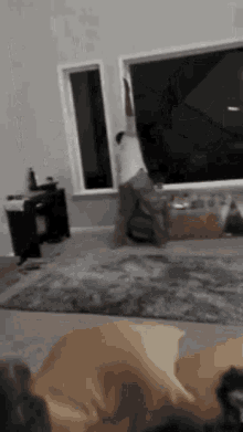 a person is standing in a living room looking out a window .