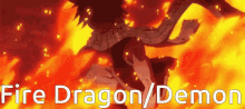 natsu a demon or dragon