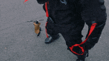 a person wearing a helmet and a black jacket with the letter f on it