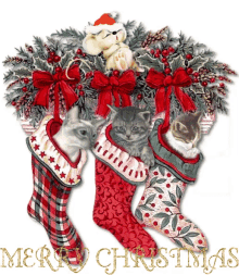 Merry Christmas Christmas Stockings GIF - Merry Christmas Christmas Stockings Nsp GIFs