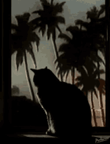 Cat Distorted GIF