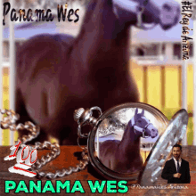 Panama Wes El Rey De Arizona GIF