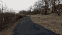 a road going through a grassy area with trees on the side