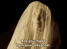 Are You Mad Your Daughter GIF - Are You Mad Your Daughter Veil GIFs