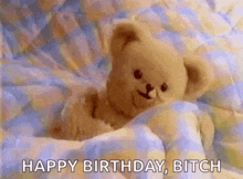a teddy bear is laying in a bed with the words `` happy birthday bitch '' written on it .