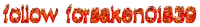 the word follow is on a white background with flames
