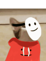 a cat is wearing a red hoodie and a white mask with a smiley face on it