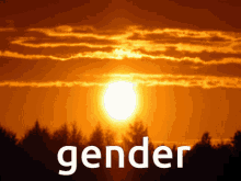 Blueycapsules Gender GIF - Blueycapsules Gender Nonbinary GIFs