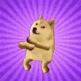 Doge Doge Meme GIF - Doge Doge Meme Ownthedoge GIFs