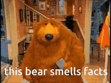 This Bear Smells Facts Bear GIF - This Bear Smells Facts Bear Smell GIFs