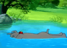 Sucker Tom And Jerry GIF