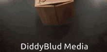 a box with a picture of a group of girls and the words diddy blud media on the bottom