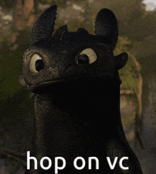 toothless from how to train your dragon is smiling with the words hop on vc below him