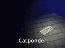 Cat Ponder GIF - Cat Ponder Catponder GIFs