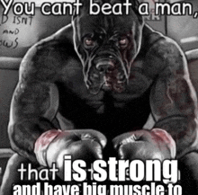 Man Dog GIF - Man Dog Strong GIFs