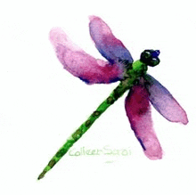 a watercolor painting of a dragonfly with pink wings