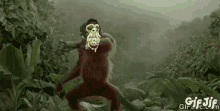 a monkey with a mask on its face is standing in the woods .