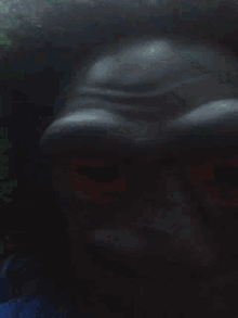 Gorilla Mask GIF - Gorilla Mask Surprised GIFs