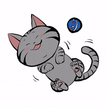 cat gray