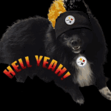 Pittsburgh Steelers Hell Yeah GIF - Pittsburgh Steelers Hell Yeah GIFs