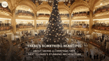 There Something Beautiful Christmas Tree GIF - There Something Beautiful Christmas Tree Paris Stunning Architecture GIFs