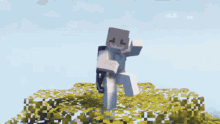 a minecraft character is standing on a hill with a sword