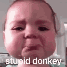 Baby Crying Donkey GIF - Baby Crying Donkey GIFs