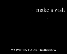 shooting star wish make a wish wish to die