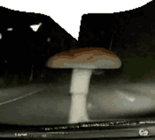 cyware mushroom