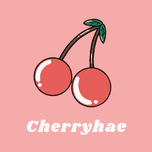 Cherryhae Seungcheol GIF - Cherryhae Seungcheol Scoups GIFs