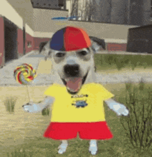a dog wearing a hat and holding a lollipop is standing in the grass .