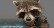 Rocket Raccoon Guardians Of The Galaxy GIF - Rocket Raccoon Guardians Of The Galaxy Scratch Head GIFs