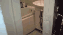 Excuse You! I'M In Here! GIF - Cats Cute Bathroom GIFs