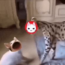 Popcat Popcatsol GIF - Popcat Popcatsol Popcatsolana GIFs