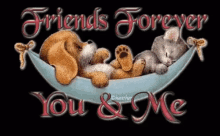friends forever you and me cat dog