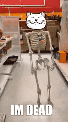 a picture of a skeleton with a cat head and the words im dead below it