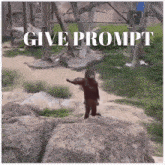 Give Prompt GIF - Give Prompt GIFs
