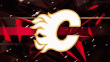 Calgary Flames GIF - Calgary Flames The GIFs