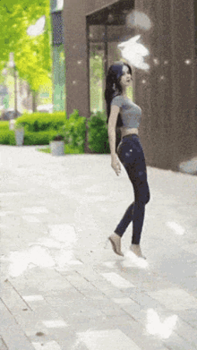 Jia Fei Products GIF