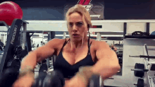 Muscles Fitness GIF - Muscles Fitness Muscle GIFs