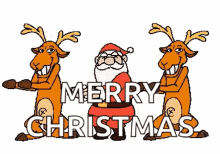 Merry Christmas Santa Claus GIF - Merry Christmas Santa Claus Dancing GIFs