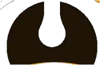 a black circle with a white circle in the middle