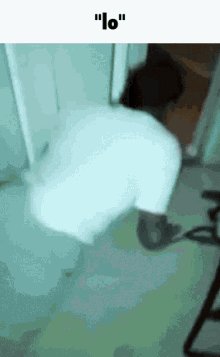 lo lmao lol funny discord lo lmao lol funny discord