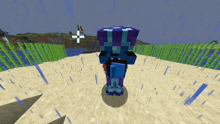 a purple and blue minecraft character standing on a beach