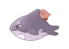 ride whale