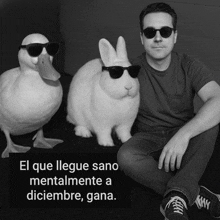 a man wearing sunglasses sits next to a rabbit and a duck