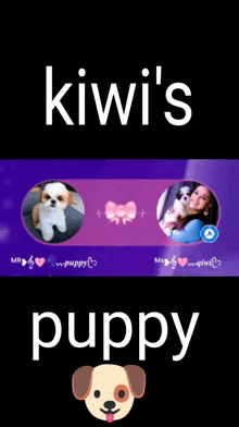 Kiwipuppy GIF - Kiwipuppy GIFs